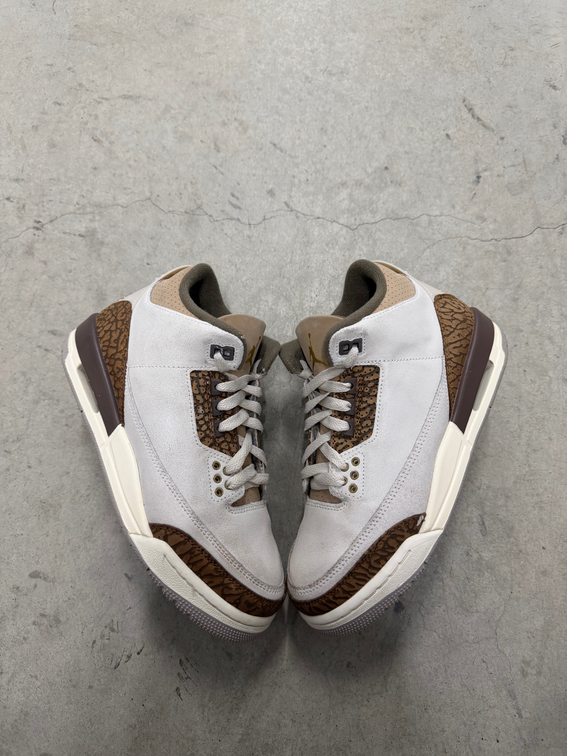 JORDAN 3 Palomino